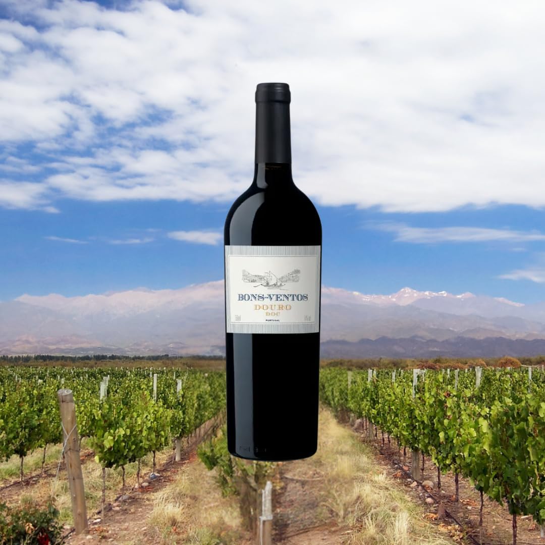 Vinho Bons Ventos Douro Tinto 750ml - Imagem 4