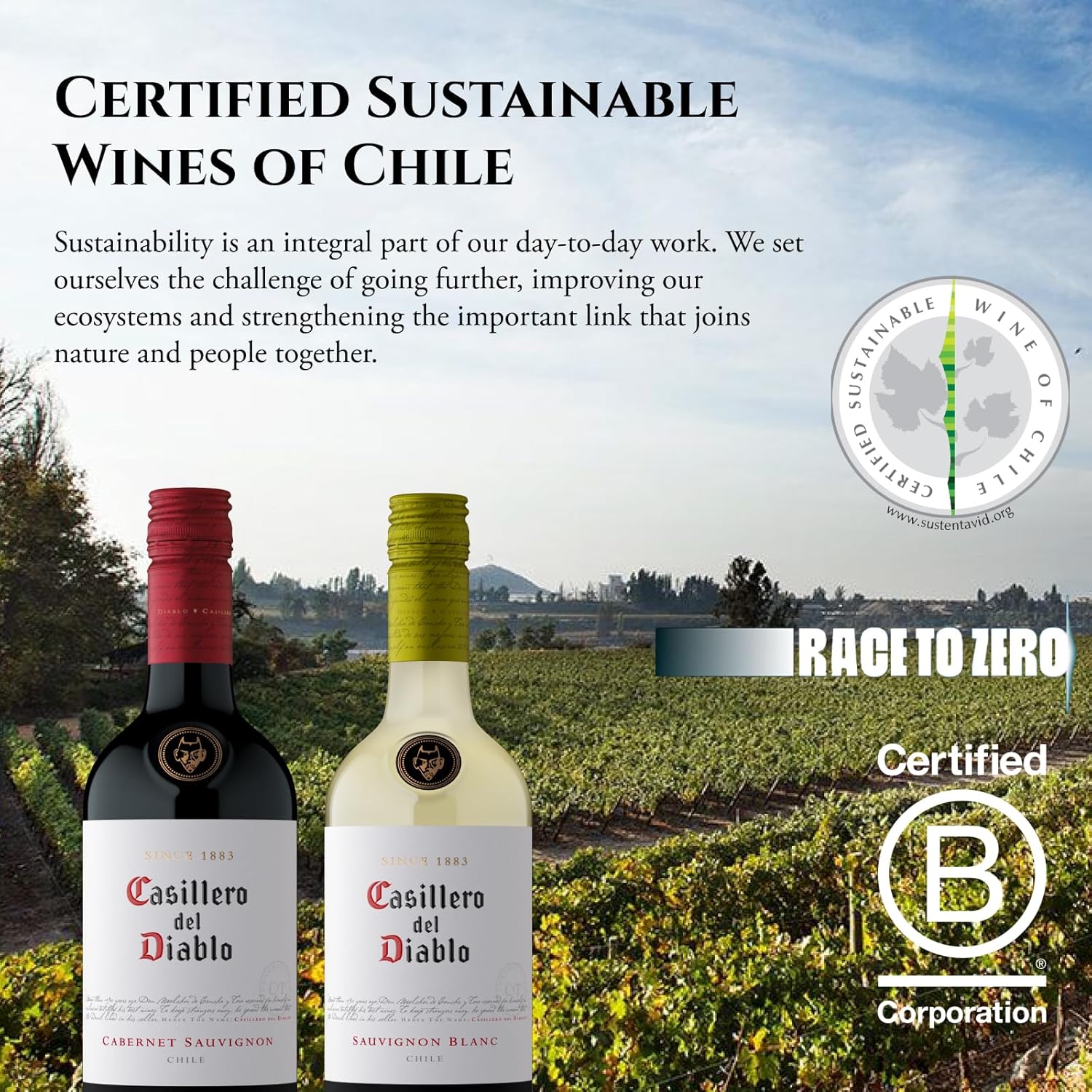 Concha y Toro Casillero Del Diablo Malbec 750ml - Imagem 5