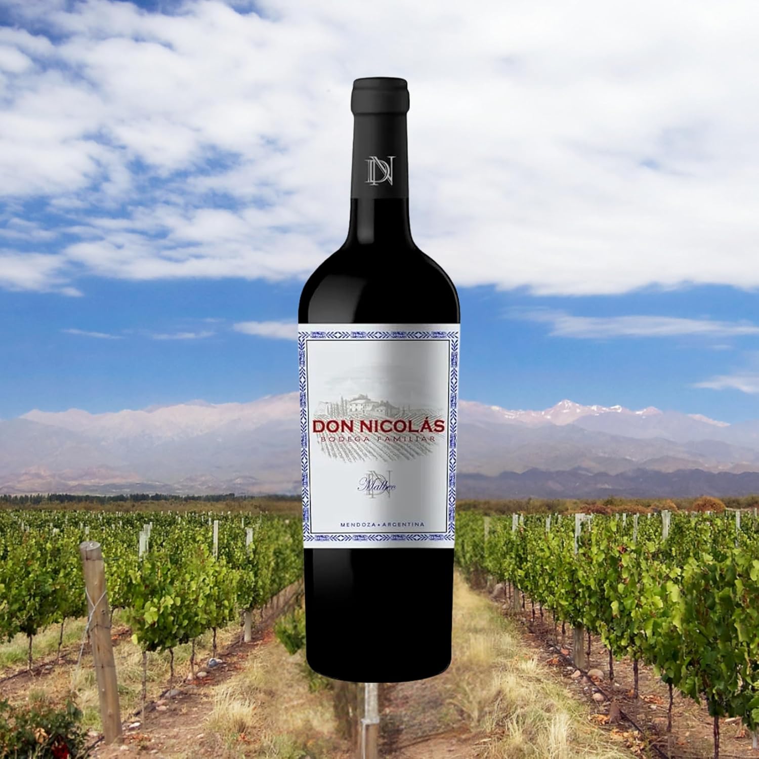 Don Nicolás Vinho Tinto Argentino Malbec 750Ml - Imagem 2