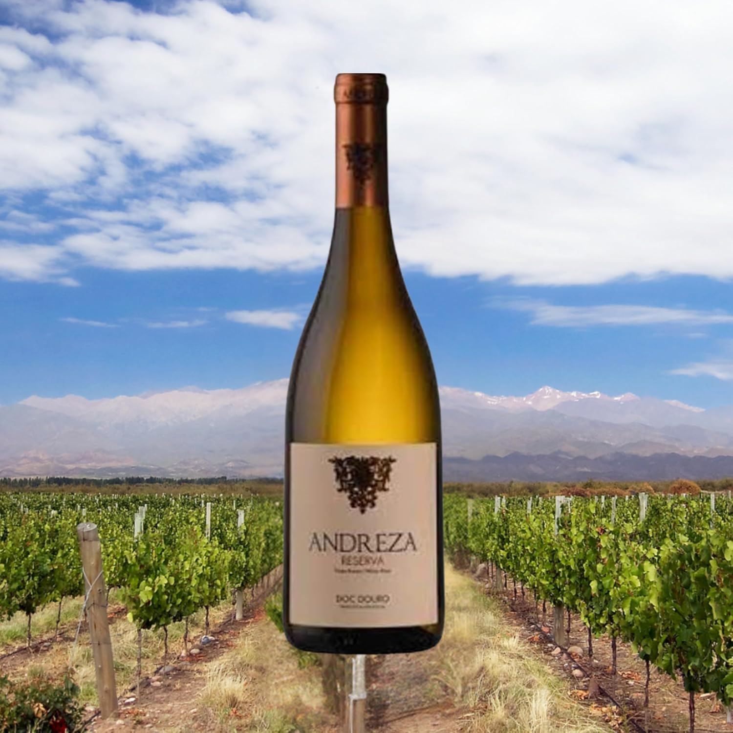 Vinho Branco Português Andreza Reserva DOC Douro 750ml - Imagem 2