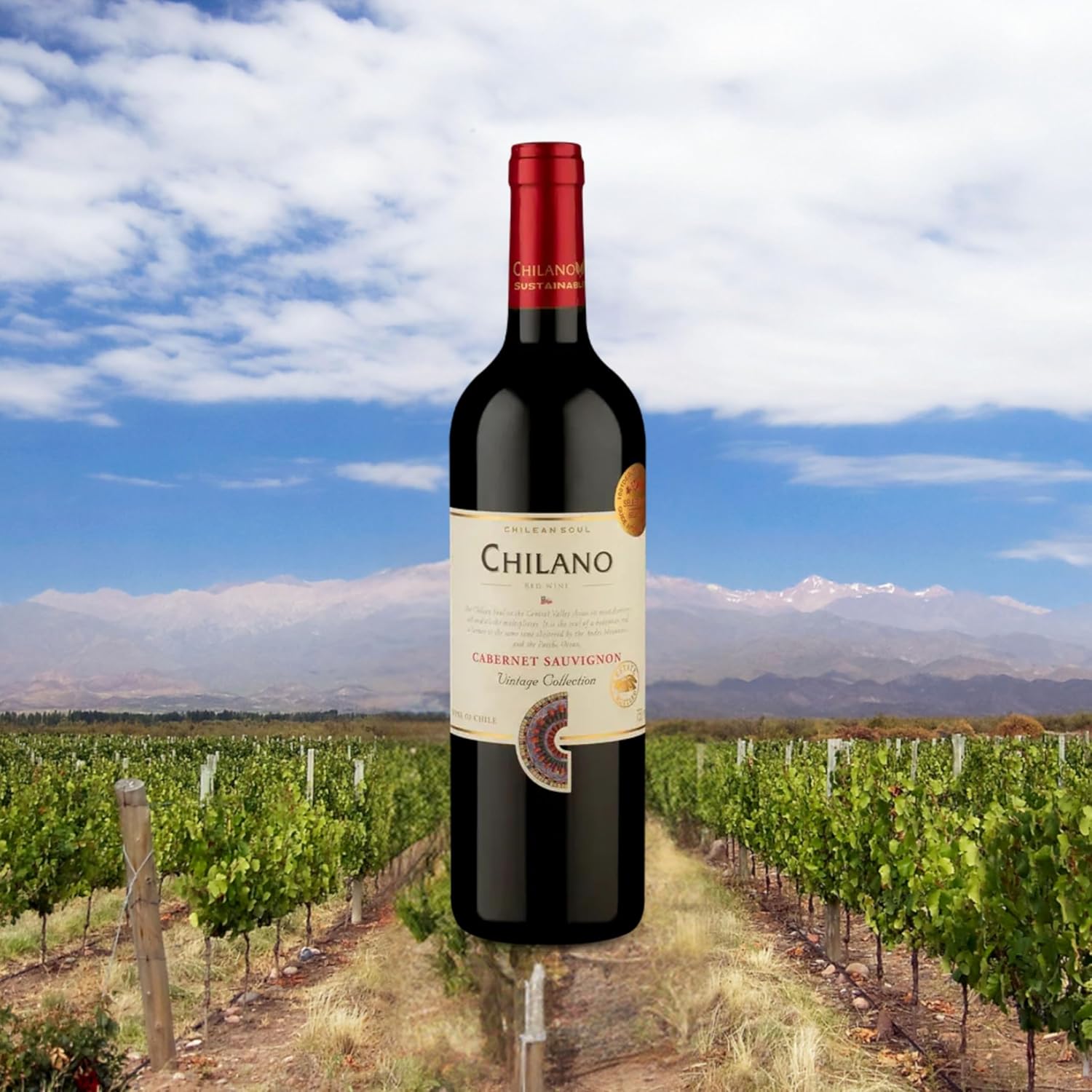 Chilano Vinho Chileno Tinto Cabernet Sauvignon 750Ml Fruit - Imagem 2